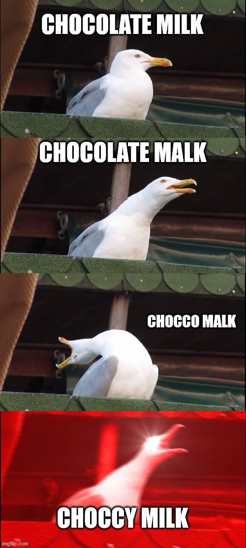 Choccy milk | CHOCOLATE MILK; CHOCOLATE MALK; CHOCCO MALK; CHOCCY MILK | image tagged in memes,inhaling seagull,somethingelseyt,reference,chocolate,milk | made w/ Imgflip meme maker
