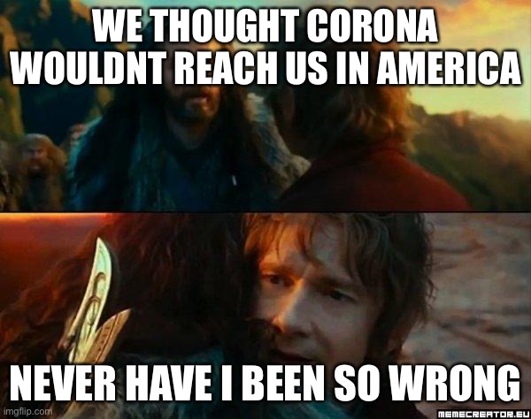 Am i right? | WE THOUGHT CORONA WOULDNT REACH US IN AMERICA; NEVER HAVE I BEEN SO WRONG | image tagged in never have i been so wrong | made w/ Imgflip meme maker