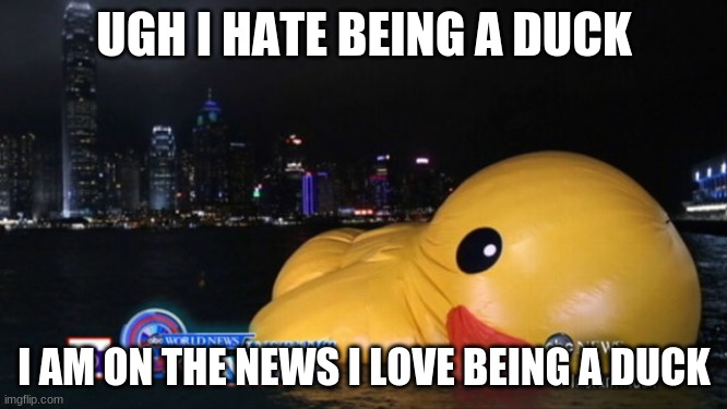 DUCK | UGH I HATE BEING A DUCK; I AM ON THE NEWS I LOVE BEING A DUCK | image tagged in duck face | made w/ Imgflip meme maker