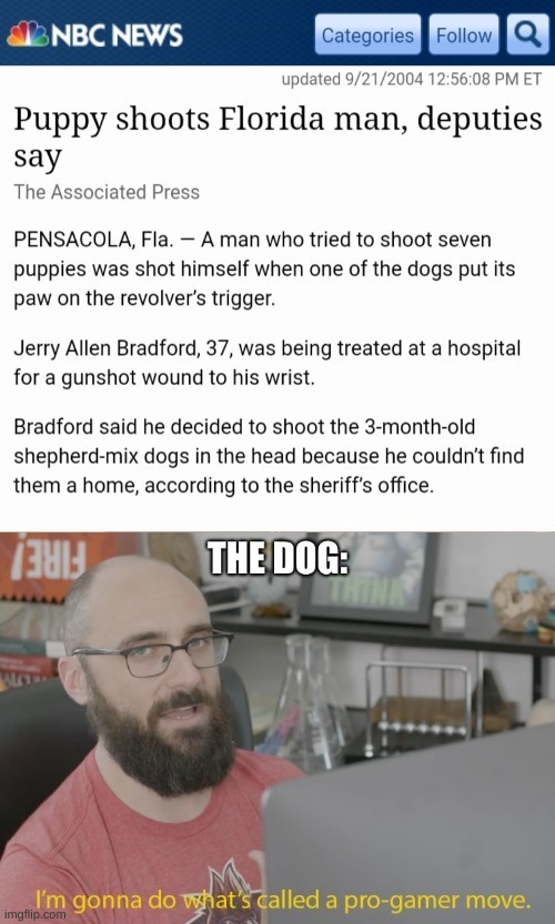Freaking Justice | image tagged in pro gamer move,dogs,memes,justice,karma | made w/ Imgflip meme maker