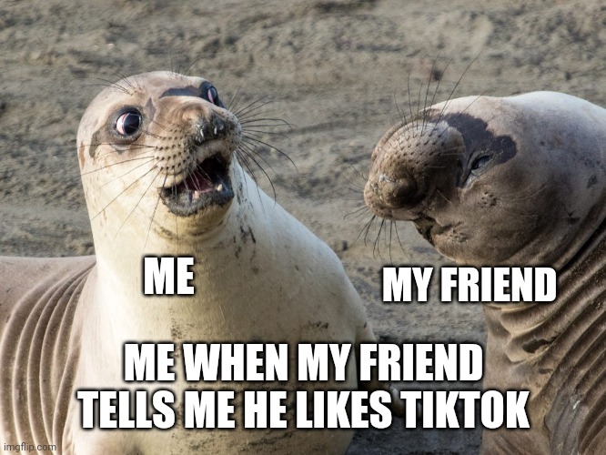 This is a custom image | ME; MY FRIEND; ME WHEN MY FRIEND TELLS ME HE LIKES TIKTOK | image tagged in custom template,thought to use it here first | made w/ Imgflip meme maker