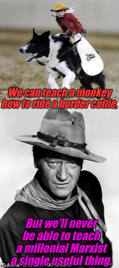 Because a mind is a horrible thing to waste on Marxist theory. | We can teach a monkey how to ride a border collie, But we'll never be able to teach a millenial Marxist a single useful thing. | image tagged in john wayne cowboy,monkey riding a border collie | made w/ Imgflip meme maker