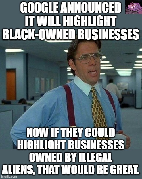 let's help I.C.E. do their job. | GOOGLE ANNOUNCED IT WILL HIGHLIGHT BLACK-OWNED BUSINESSES; NOW IF THEY COULD HIGHLIGHT BUSINESSES OWNED BY ILLEGAL ALIENS, THAT WOULD BE GREAT. | image tagged in memes,that would be great | made w/ Imgflip meme maker