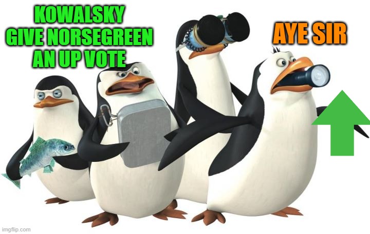 penquines | KOWALSKY GIVE NORSEGREEN AN UP VOTE AYE SIR | image tagged in penquines | made w/ Imgflip meme maker