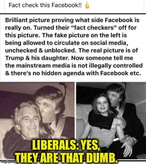 Along with believing all of the other manipulation of the MSM | LIBERALS: YES, THEY ARE THAT DUMB. | image tagged in liberal logic,stupid liberals,liberal hypocrisy,democrat party,election 2020 | made w/ Imgflip meme maker
