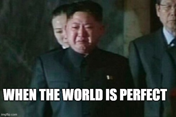 ww3 never gonna happen kim jong un | WHEN THE WORLD IS PERFECT | image tagged in memes,kim jong un sad | made w/ Imgflip meme maker