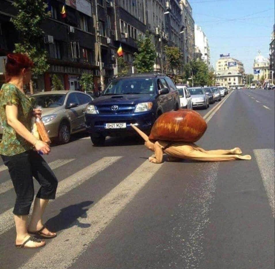High Quality Snail in the road Blank Meme Template