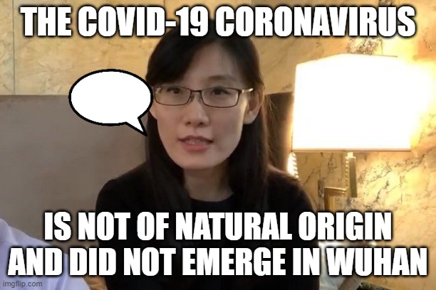 'The virus is not of natural origin and did not emerge in Wuhan' | THE COVID-19 CORONAVIRUS; IS NOT OF NATURAL ORIGIN AND DID NOT EMERGE IN WUHAN | image tagged in chinese virologist and whistleblower yan li-meng | made w/ Imgflip meme maker