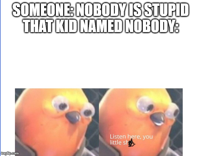 ... | SOMEONE: NOBODY IS STUPID
THAT KID NAMED NOBODY: | image tagged in imgflip | made w/ Imgflip meme maker