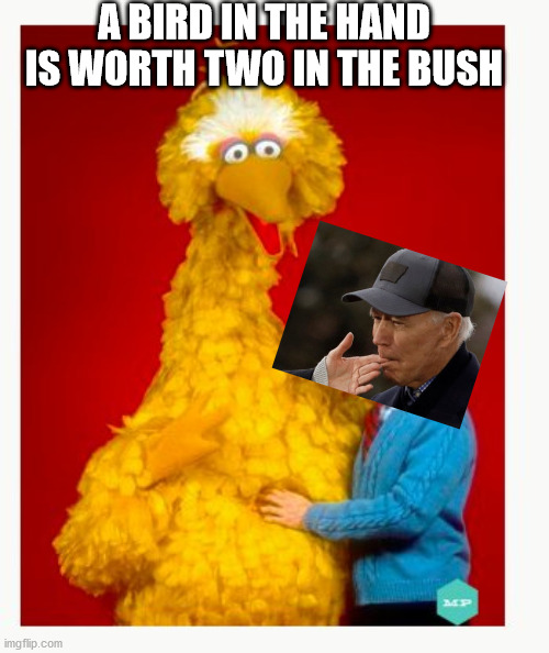 Big Biden And Joe Bird | A BIRD IN THE HAND IS WORTH TWO IN THE BUSH | image tagged in memes,joe biden,cringe | made w/ Imgflip meme maker
