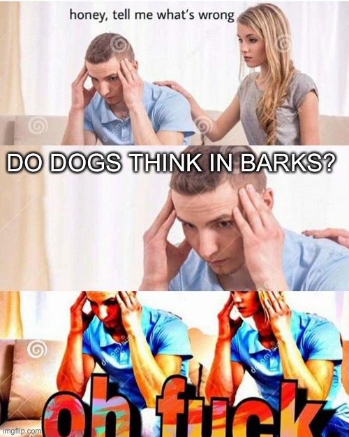 Oh... oh no now I can’t get it out of my head | DO DOGS THINK IN BARKS? | image tagged in honey tell me what's wrong | made w/ Imgflip meme maker