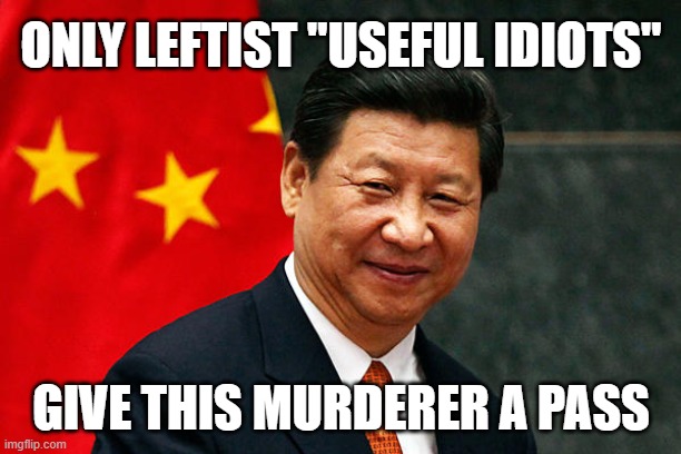 Xi Jinping | ONLY LEFTIST "USEFUL IDIOTS" GIVE THIS MURDERER A PASS | image tagged in xi jinping | made w/ Imgflip meme maker