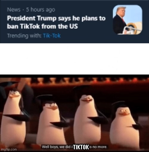 we did it guys. | TIKTOK | image tagged in well boys we did it blank is no more,tiktok | made w/ Imgflip meme maker