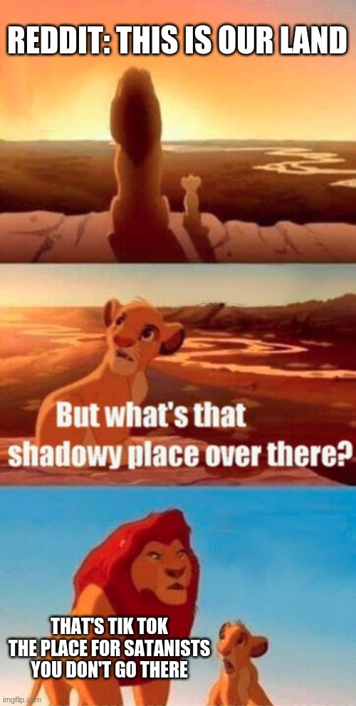 Simba Shadowy Place Meme | REDDIT: THIS IS OUR LAND; THAT'S TIK TOK THE PLACE FOR SATANISTS YOU DON'T GO THERE | image tagged in memes,simba shadowy place | made w/ Imgflip meme maker