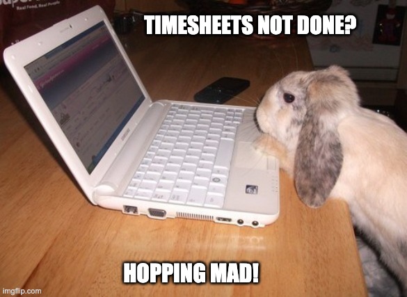 Bunny Timesheet Reminder | TIMESHEETS NOT DONE? HOPPING MAD! | image tagged in bunny timesheet reminder,timesheet reminder,timesheet meme,meme,funny | made w/ Imgflip meme maker