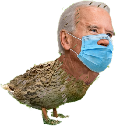 Joe BidenDuck Trans Blank Meme Template