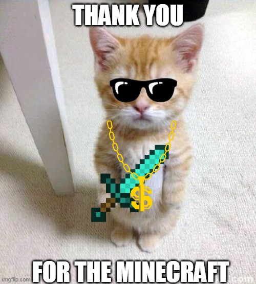 Cute Cat Meme | THANK YOU; FOR THE MINECRAFT | image tagged in memes,cute cat | made w/ Imgflip meme maker