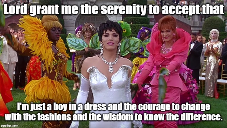 A Boy in A Dress | Lord grant me the serenity to accept that; I'm just a boy in a dress and the courage to change with the fashions and the wisdom to know the difference. | image tagged in transgender,lgbtq,to wong foo,john legunzamo,wesley snipes,patrick swayze | made w/ Imgflip meme maker