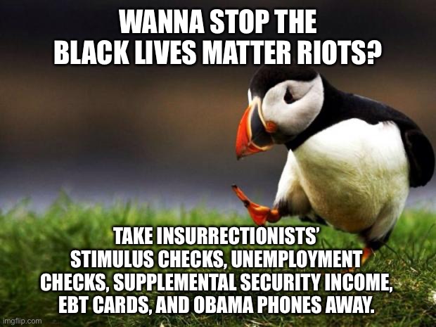 Government is funding the BLM insurrectionists if you think about it | WANNA STOP THE BLACK LIVES MATTER RIOTS? TAKE INSURRECTIONISTS’ STIMULUS CHECKS, UNEMPLOYMENT CHECKS, SUPPLEMENTAL SECURITY INCOME, EBT CARDS, AND OBAMA PHONES AWAY. | image tagged in memes,unpopular opinion puffin,black lives matter,riot,race,check | made w/ Imgflip meme maker