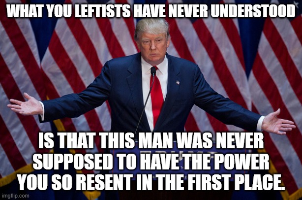 If You Worship The Presidency, You're Gonna Have A Bad Time | WHAT YOU LEFTISTS HAVE NEVER UNDERSTOOD; IS THAT THIS MAN WAS NEVER SUPPOSED TO HAVE THE POWER YOU SO RESENT IN THE FIRST PLACE. | image tagged in donald trump,too,much,centralized,power | made w/ Imgflip meme maker