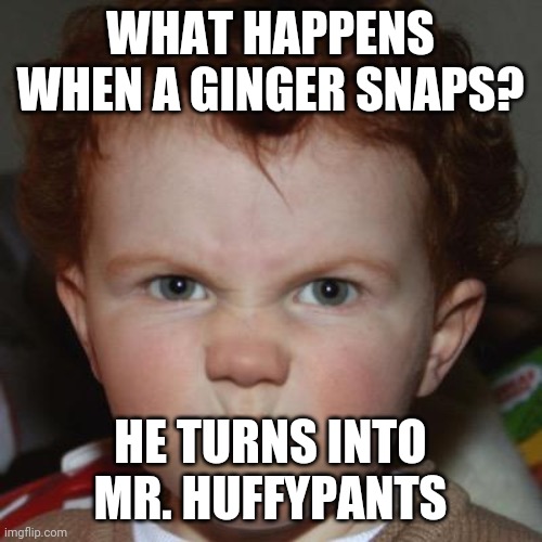 WHAT HAPPENS WHEN A GINGER SNAPS? HE TURNS INTO MR. HUFFYPANTS | image tagged in gingers | made w/ Imgflip meme maker