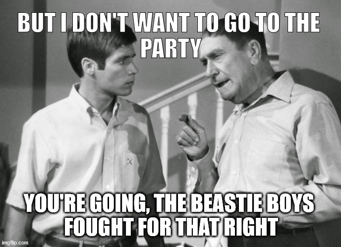 My Three Sons | BUT I DON'T WANT TO GO TO THE 
PARTY; YOU'RE GOING, THE BEASTIE BOYS
 FOUGHT FOR THAT RIGHT | image tagged in my three sons | made w/ Imgflip meme maker