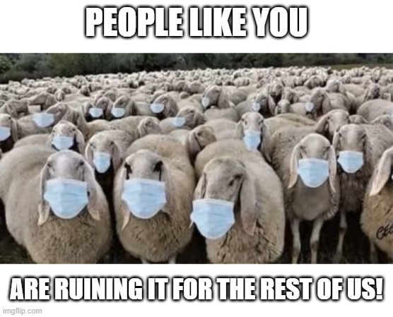 People Like You | PEOPLE LIKE YOU; ARE RUINING IT FOR THE REST OF US! | image tagged in covid-19,sheep,mask,face mask | made w/ Imgflip meme maker