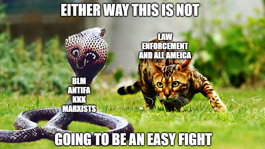 Don't give up the fight | EITHER WAY THIS IS NOT; LAW
ENFORCEMENT
AND ALL AMEICA; BLM
ANTIFA
KKK
MARXISTS; GOING TO BE AN EASY FIGHT | image tagged in cats,memes,fun,funny,snakes,2020 | made w/ Imgflip meme maker