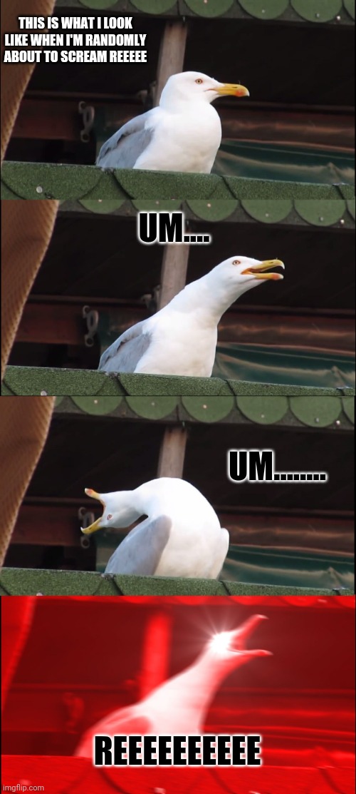 Inhaling Seagull Meme | THIS IS WHAT I LOOK LIKE WHEN I'M RANDOMLY ABOUT TO SCREAM REEEEE; UM.... UM........ REEEEEEEEEE | image tagged in memes,inhaling seagull | made w/ Imgflip meme maker