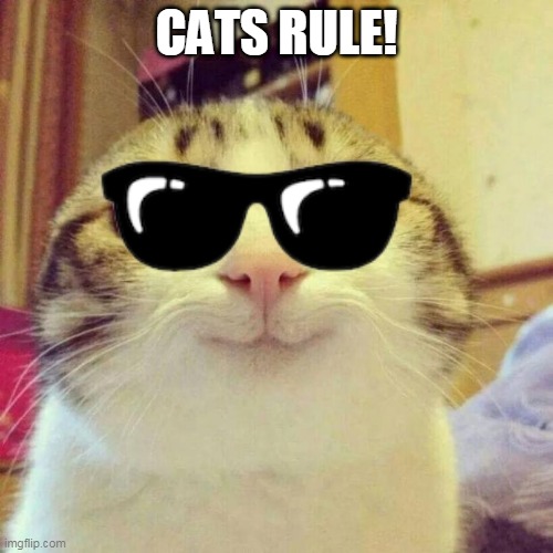 Smiling Cat Meme | CATS RULE! | image tagged in memes,smiling cat | made w/ Imgflip meme maker