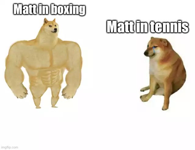 Buff Doge vs. Cheems Meme | Matt in boxing; Matt in tennis | image tagged in buff doge vs cheems,fun | made w/ Imgflip meme maker