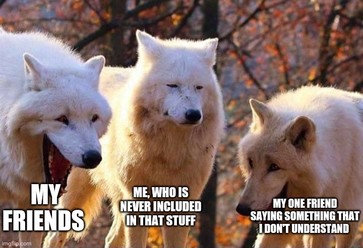 Why is it ALWAYS me?! | MY FRIENDS; ME, WHO IS NEVER INCLUDED IN THAT STUFF; MY ONE FRIEND SAYING SOMETHING THAT I DON'T UNDERSTAND | image tagged in laughing wolf | made w/ Imgflip meme maker