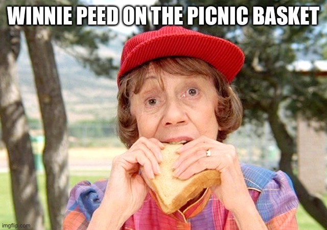 WINNIE PEED ON THE PICNIC BASKET | made w/ Imgflip meme maker