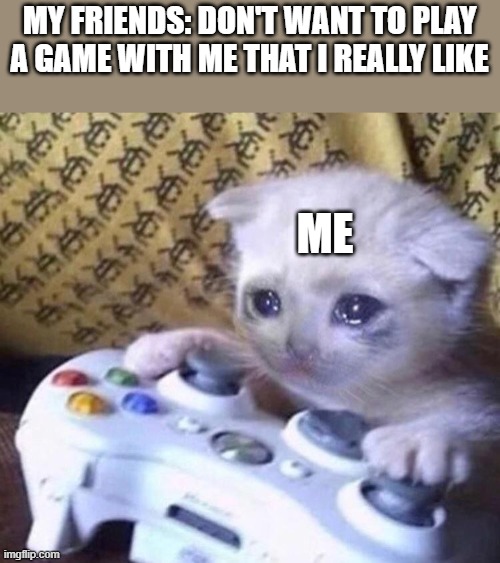 friends do be like that sometimes | MY FRIENDS: DON'T WANT TO PLAY A GAME WITH ME THAT I REALLY LIKE; ME | image tagged in sad gamer cat | made w/ Imgflip meme maker