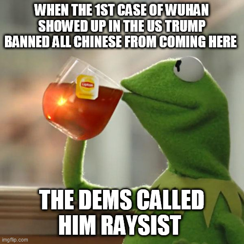 But That's None Of My Business Meme | WHEN THE 1ST CASE OF WUHAN SHOWED UP IN THE US TRUMP BANNED ALL CHINESE FROM COMING HERE; THE DEMS CALLED HIM RAYSIST | image tagged in memes,but that's none of my business,kermit the frog | made w/ Imgflip meme maker