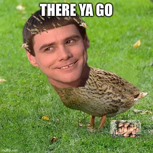 There | THERE YA GO | image tagged in jim carreduck | made w/ Imgflip meme maker