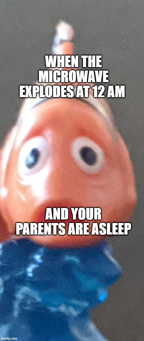 Worried meme fish | WHEN THE MICROWAVE EXPLODES AT 12 AM; AND YOUR PARENTS ARE ASLEEP | image tagged in worried meme fish | made w/ Imgflip meme maker