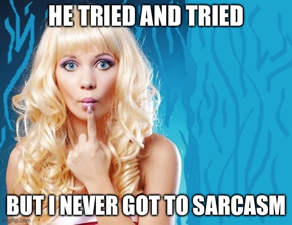 ditzy blonde | HE TRIED AND TRIED BUT I NEVER GOT TO SARCASM | image tagged in ditzy blonde | made w/ Imgflip meme maker