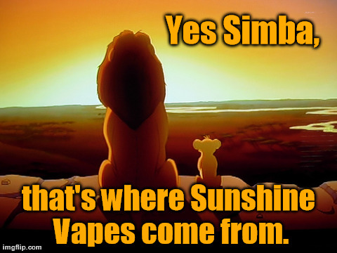 Lion King Meme | Yes Simba, that's where Sunshine Vapes come from. | image tagged in memes,lion king | made w/ Imgflip meme maker