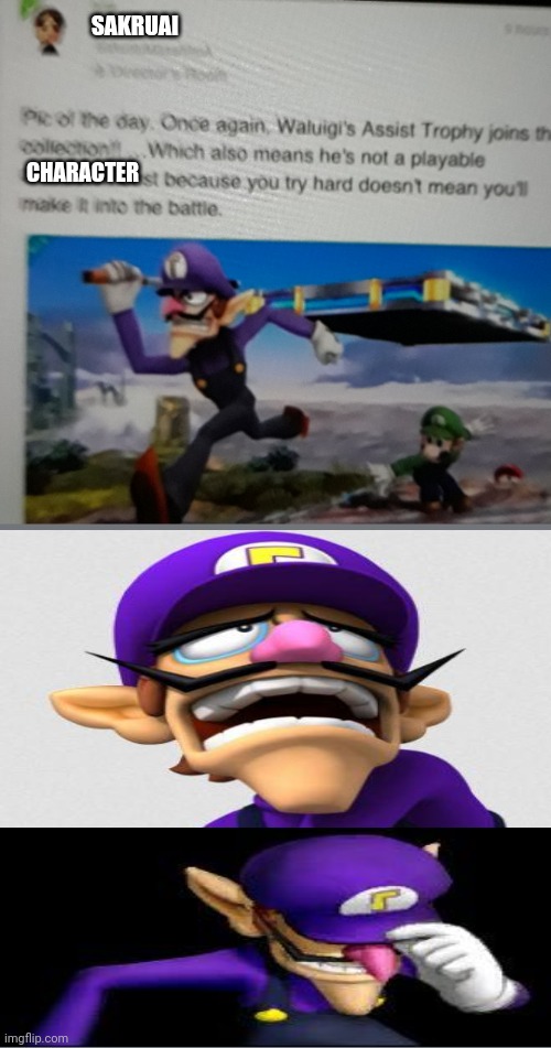 Why dude why | SAKRUAI; CHARACTER | image tagged in waluigi,being an asshole,super smash bros | made w/ Imgflip meme maker