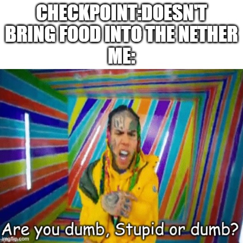 CHECKPOINT:DOESN'T BRING FOOD INTO THE NETHER
ME: | image tagged in are you dumb stupid or dumb | made w/ Imgflip meme maker