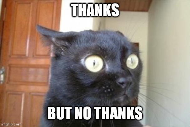 Cannot Be Unseen Cat | THANKS BUT NO THANKS | image tagged in cannot be unseen cat | made w/ Imgflip meme maker