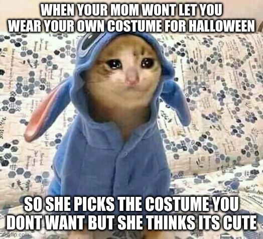 Crying cat | WHEN YOUR MOM WONT LET YOU WEAR YOUR OWN COSTUME FOR HALLOWEEN; SO SHE PICKS THE COSTUME YOU DONT WANT BUT SHE THINKS ITS CUTE | image tagged in crying cat | made w/ Imgflip meme maker