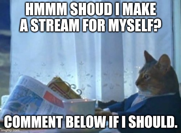 Please! | HMMM SHOUD I MAKE A STREAM FOR MYSELF? COMMENT BELOW IF I SHOULD. | image tagged in memes,i should buy a boat cat | made w/ Imgflip meme maker