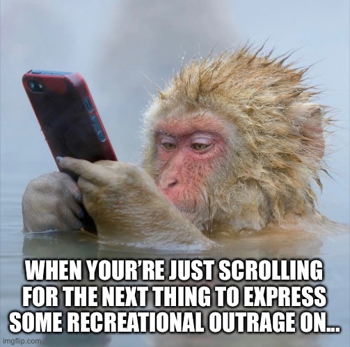 Recreational Outrage | WHEN YOUR’RE JUST SCROLLING FOR THE NEXT THING TO EXPRESS SOME RECREATIONAL OUTRAGE ON... | image tagged in funny,outrage,funny memes,2020,monkey,monkey puppet | made w/ Imgflip meme maker