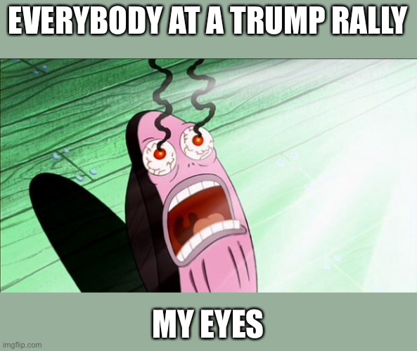 Spongebob My Eyes | EVERYBODY AT A TRUMP RALLY; MY EYES | image tagged in spongebob my eyes | made w/ Imgflip meme maker