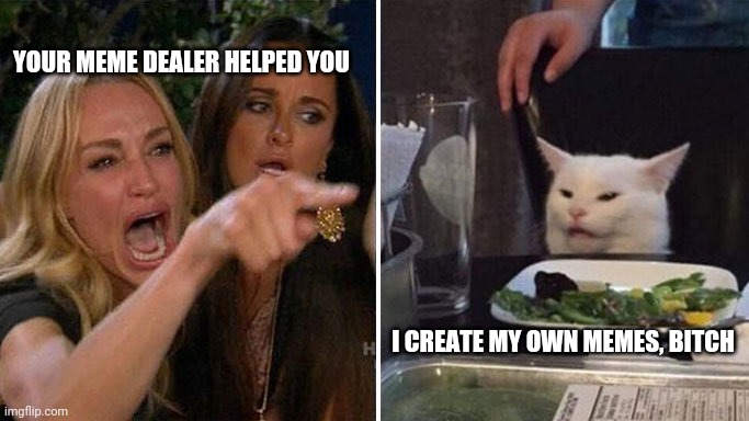 Create Own Memes | YOUR MEME DEALER HELPED YOU; I CREATE MY OWN MEMES, BITCH | image tagged in create,memes,funny memes | made w/ Imgflip meme maker