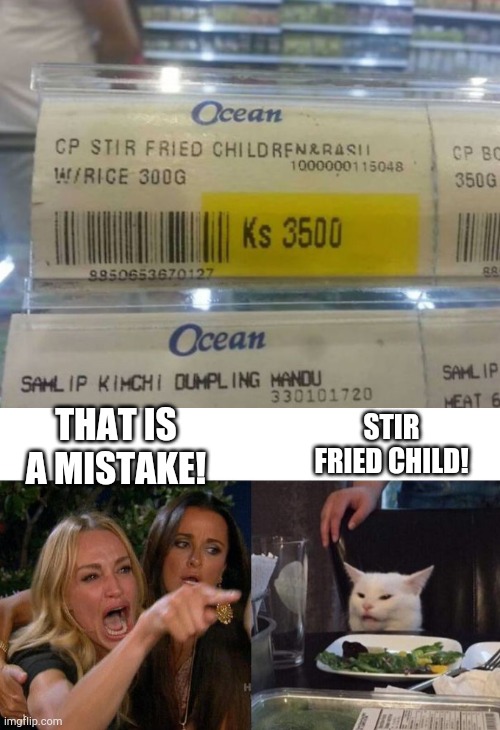 I love stir fried child... | STIR FRIED CHILD! THAT IS A MISTAKE! | image tagged in memes,woman yelling at cat,funny,fail | made w/ Imgflip meme maker