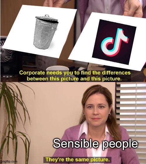 They're The Same Picture | Sensible people | image tagged in memes,they're the same picture | made w/ Imgflip meme maker