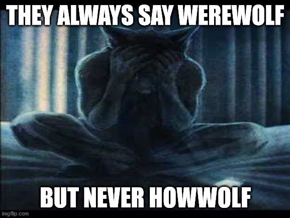 pretty sad | THEY ALWAYS SAY WEREWOLF; BUT NEVER HOWWOLF | image tagged in wolf | made w/ Imgflip meme maker